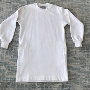 Everlane Sweatshirt dress